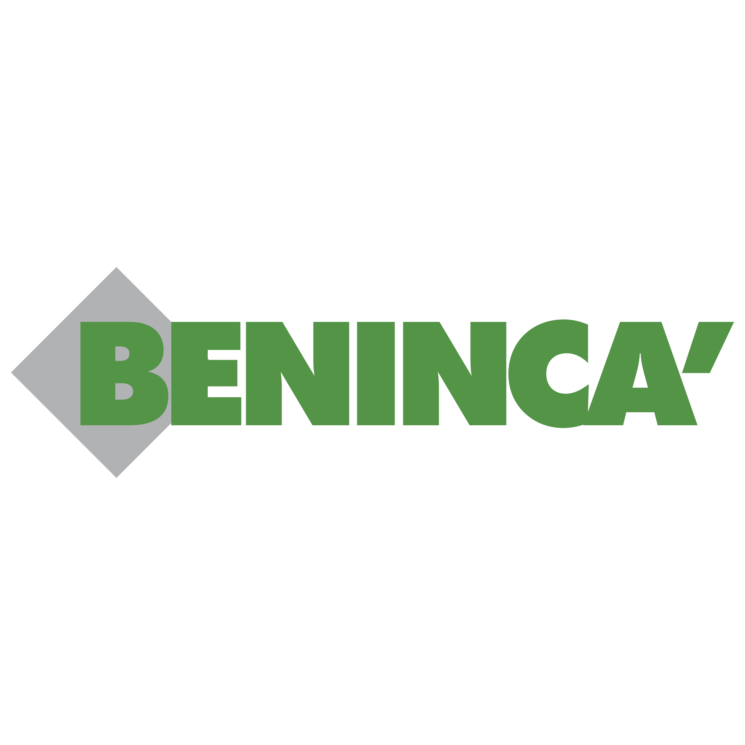 Beninca